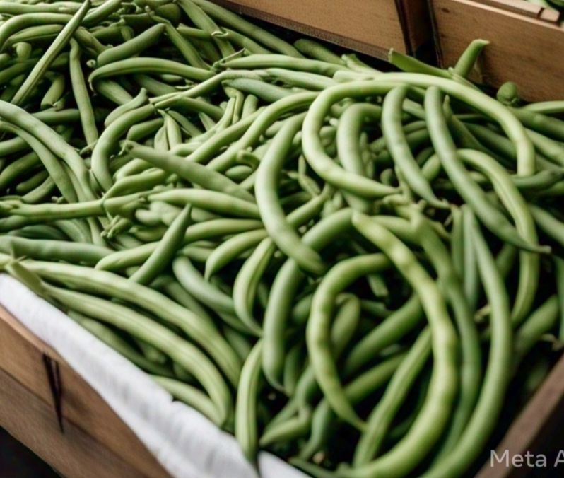 Green Beans 