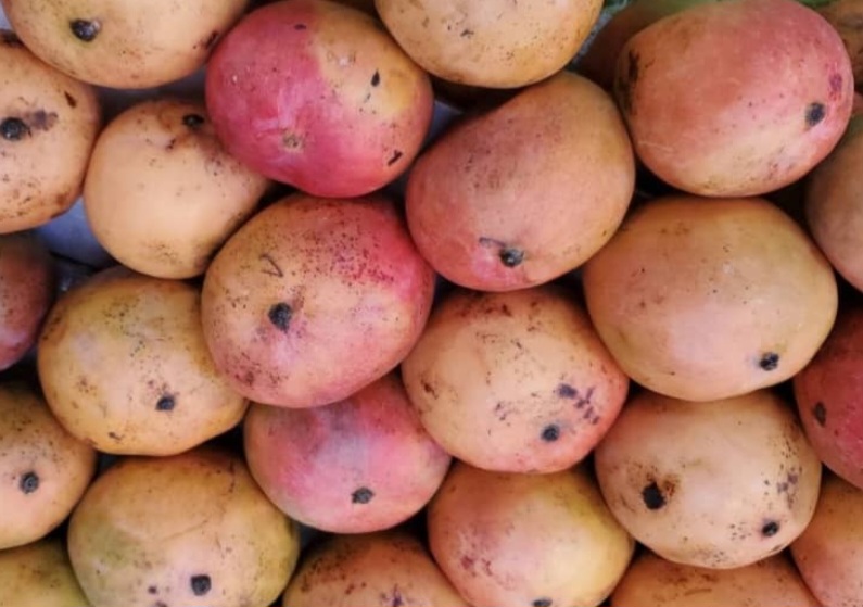 Mango 