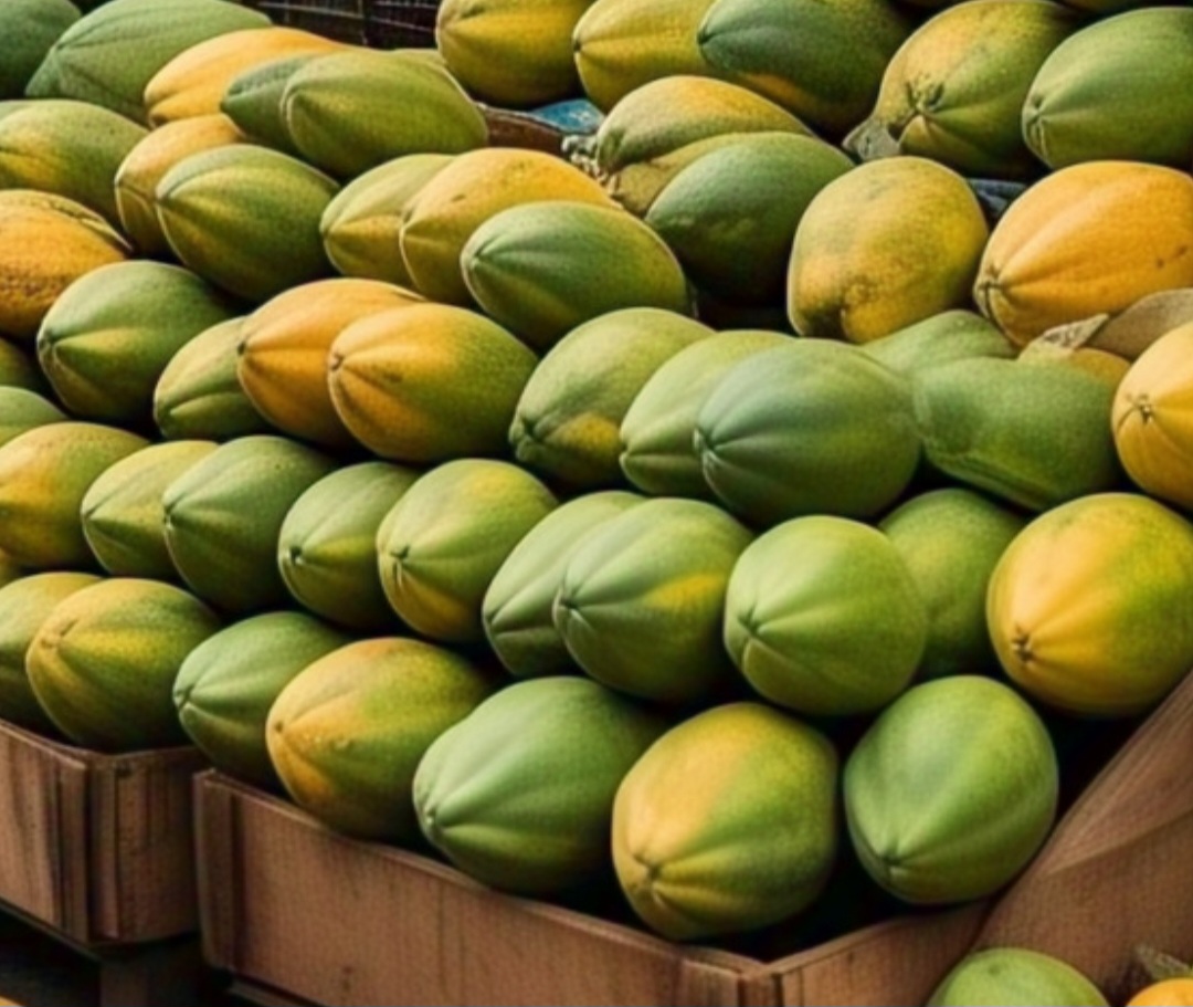 PAPAYA